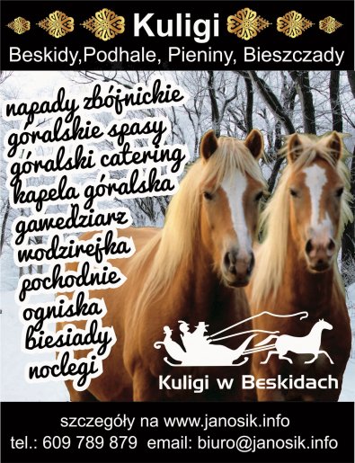 kuligiwisla3
