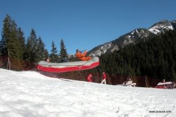 raf1